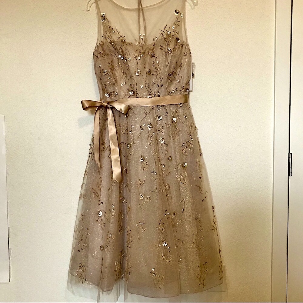 Ricki Freeman for Teri Jon Metallic Embroidered Tulle Tea Length Dress  8 NWT